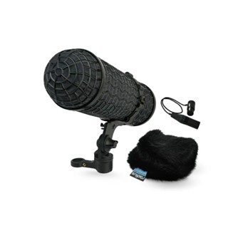 Radius Windshields Mini-ALTO 250/280 & RAD-2 Kit 防風罩套組(含XLR線