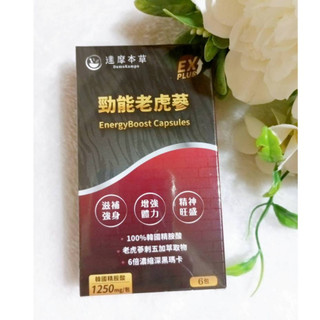 達摩本草 勁能老虎參粉包EX PLUS (24包/盒) (6包/盒) 老虎參