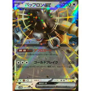 寶可夢 PTCG 日版 爆炸頭水牛ex RR