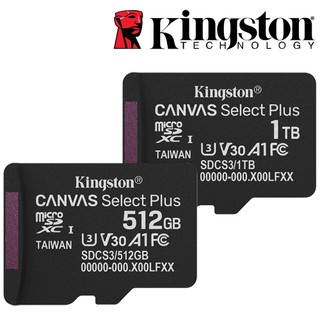 Kingston 金士頓 1TB 512GB microSDXC TF U3 V30 記憶卡 SDCS3 512G 1T