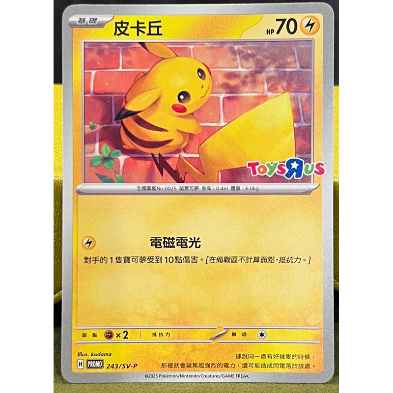||高雄 宅媽|| 寶可夢PTCG 玩具反斗城 特典卡 皮卡丘、伊布、小火龍、迷你龍、麒麟奇