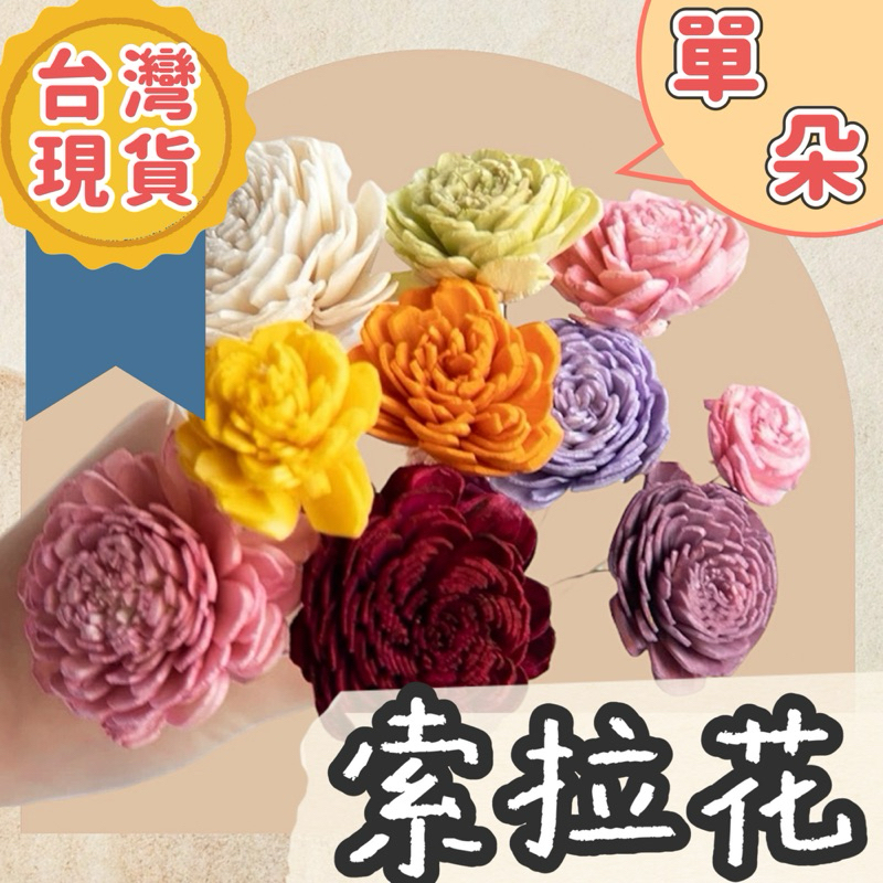 【璟采職人】索拉花 康乃馨 索拉玫瑰 大地農園 精油 乒乓菊 索拉乒乓 拍攝道具 乾燥花 不凋花 永生花 仿真花 花材
