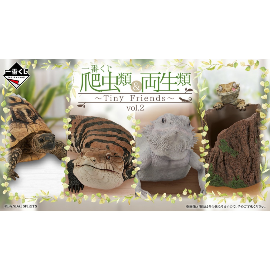 一番くじ 爬虫類&両生類〜Tiny Friends〜vol.2 C賞 D賞 一番くじ 爬虫類＆両生類～Tiny Friends～vol.2｜一番くじ倶楽部