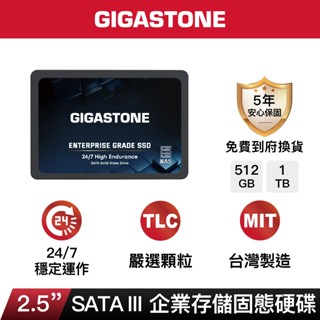 【GIGASTONE】企業儲存固態硬碟NAS 內接式SSD 4T/2T｜臺灣製造/2.5吋SATA3/4TB/2TB