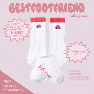(Wings Select) BEST FOOT FRIEND BFF Hedgehog 刺蝟 襪子 機能 穿搭 球鞋