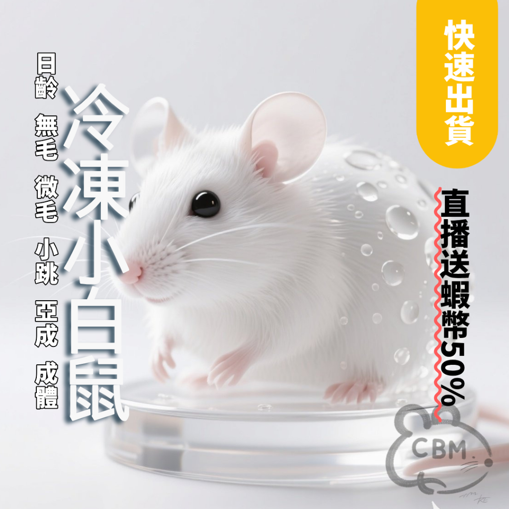 冷凍鼠 小白鼠 亞成 日齡 無毛 亞成 成體 微毛 跳跳 亞成 成體 蛇 蛙 守宮 跳跳 蟒蛇 實驗小鼠 球蟒