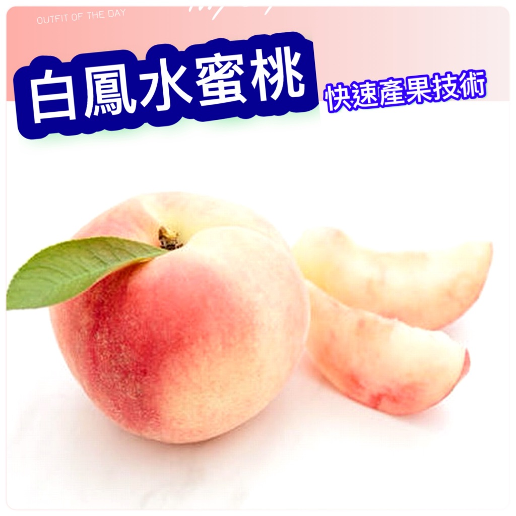 日本白鳳水蜜桃的價格推薦- 2025年11月| 比價比個夠BigGo