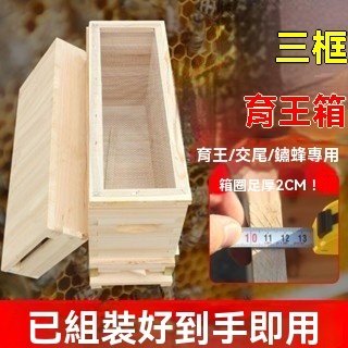 7.8🎁【蜜蜂育王箱】【蜂王交尾箱】杉木三框小型分蜂育王專用蜜蜂飼養蜂箱 - 小欣優選