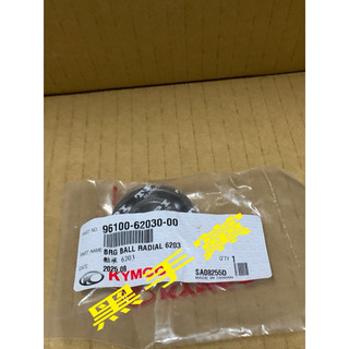 黑手黨 光陽原廠培林 96100-62030-00 軸承 培林 左曲軸箱軸承 VJR MANY 雷霆 RTS KYMCO
