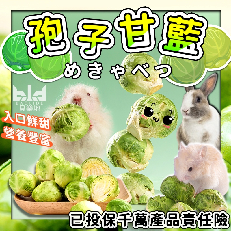 【健康!倉鼠最愛】小動物結球甘藍  鼠零食 凍乾蔬果 新鮮孢子甘藍小動物零食 小寵零食 小寵蔬菜乾 天竺鼠零食 倉鼠零食