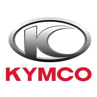 KYMCO 光陽原廠 22870-LGM5-800 KTR150 離合器導線 離合器線