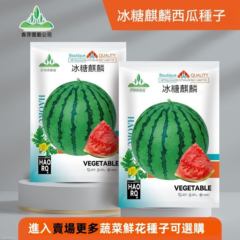 原廠包裝🔥8424冰糖麒麟冇籽美都西瓜種籽大全水果瓜果苗小南方蔬菜苗西瓜種子麒麟西瓜8西瓜種籽四季春甜美都西瓜苗秧種孑