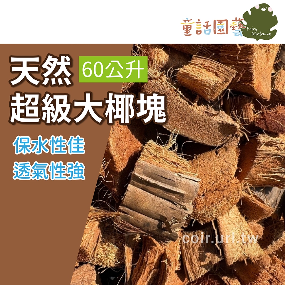 【花園夢想家】天然超級大椰塊 Coconut husk 椰殼塊 60公升 氣根類蘭花 蕨類 保溫 保濕 抑制雜草