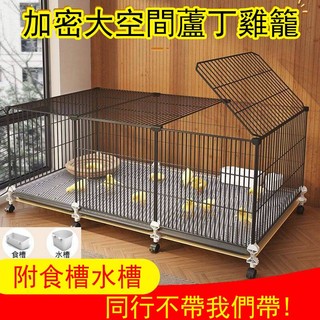 🔥🔥現貨24小時出貨 寵物籠 籠子 🐔🦢蘆丁雞專用籠 小雞籠子 雞籠 鵪鶉籠 小黃鴨 幼兔 兔籠子 鼠龍 倉鼠 貓籠