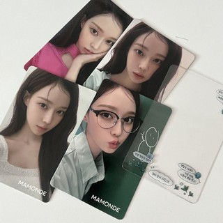 [在台現貨] winter小卡 金冬天 aespa Karina PASCUCCI 代言 小卡組 Karina小卡 小卡