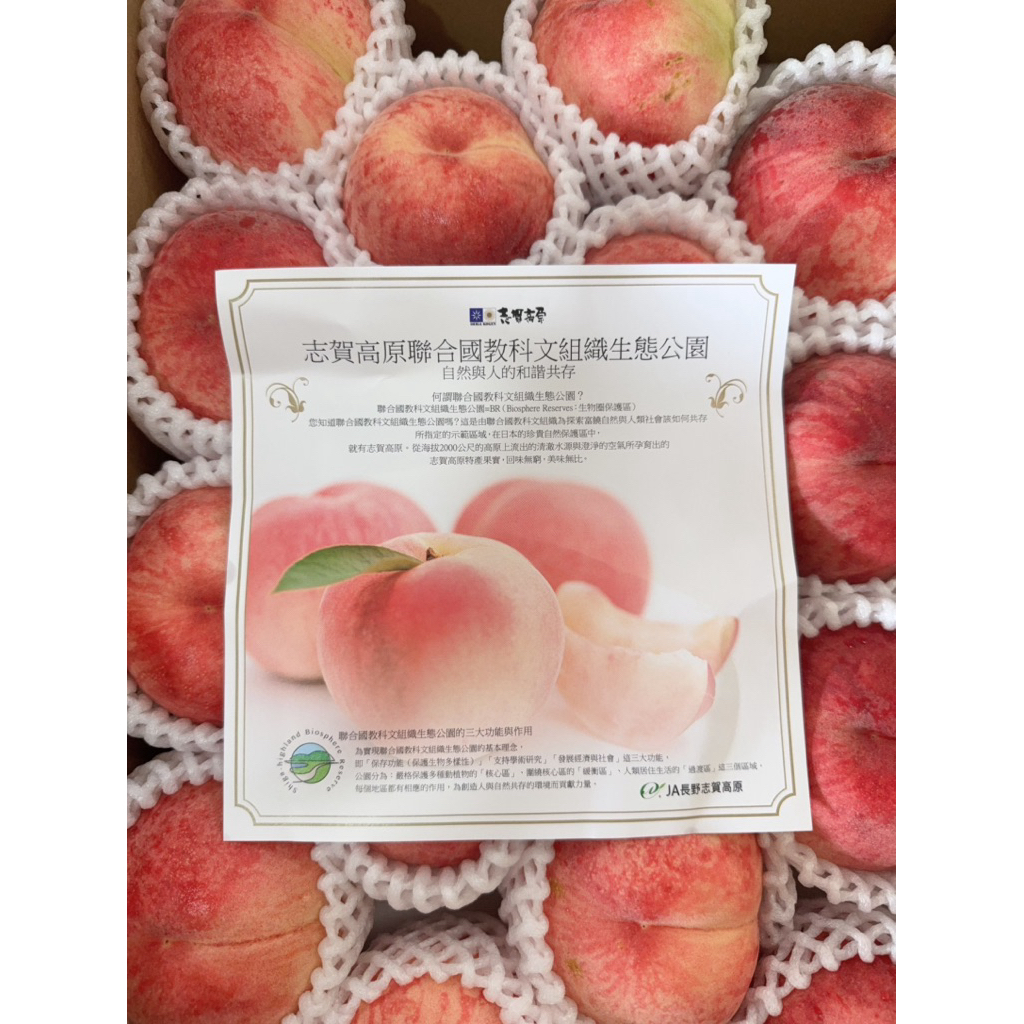 日本白鳳水蜜桃的價格推薦- 2025年11月| 比價比個夠BigGo