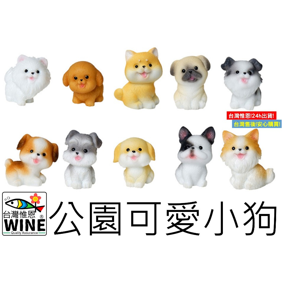 WINE台灣惟恩 微景觀 可愛捲毛小狗 小狗 泰迪巴哥 邊牧 拉布拉多 柯基 柴犬 法鬥 狗 毛小孩 犬 園藝 室內佈置