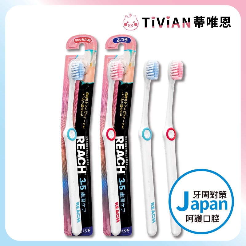 【蒂唯恩新品最低價🔥】REACH 麗奇 牙周對策齒科牙刷 軟毛 中性毛 單支 牙周對策 軟毛牙刷 小頭 齒科牙刷