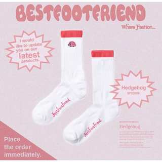 【SCIENCELAB148】BEST FOOT FRIEND BFF -BF25009:Hedgehog刺蝟