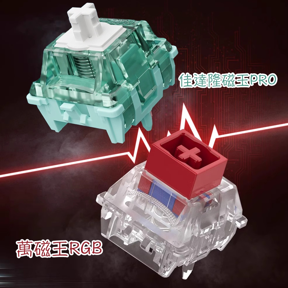 鍵鬥士丨最低19單顆 TTC萬磁王RGB磁軸 佳達隆磁玉PRO 支援ATK 狼蛛 美加獅 Wooting等磁軸鍵盤