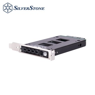 銀欣 EXB02 擴充槽轉2.5吋SAS 12Gbit/s or SATA 6 Gbit/s硬碟擴充卡