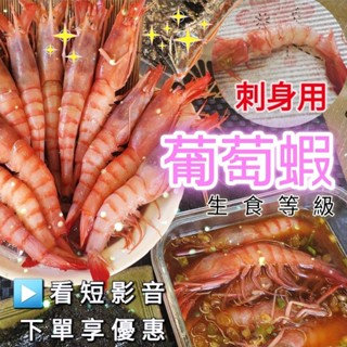 【大盤商✨️精選】 生食級 葡萄蝦 🦐//1kg/約25尾/ 生食 刺身 生醃/專業餐飲食材/批發 團購/全館799