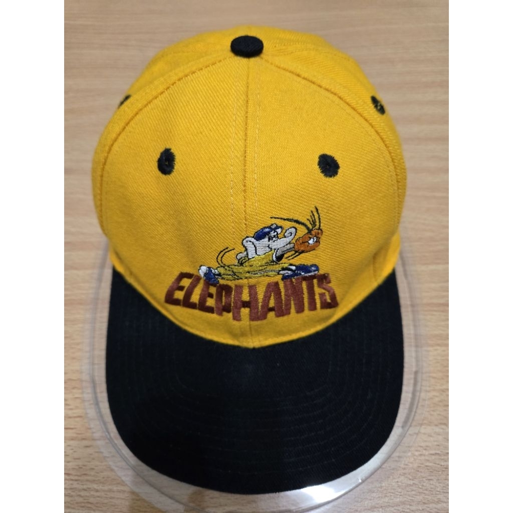早期 非Nike、Adidas、Puma CPBL 兄弟象 帽子 古著 復古 附帽盒 #貨真價實的兄弟象 #錯過不再