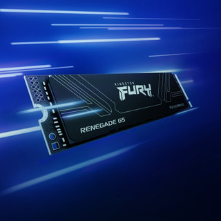 Kingston FURY Renegade G5 PCIe 5.0 NVMe M.2 公司貨 1TB/2TB/4TB