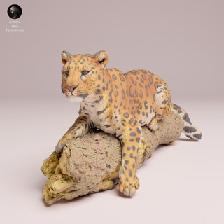Tazo工坊[AD] 遠東豹趴在樹幹上Amur Leopard on the tree 3D列印模型CES