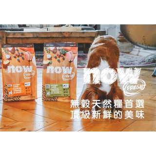 【奴才日誌💕】【now】 鮮肉/紅肉/鮮魚無穀 小型 中型 大型 老犬 成犬 幼犬 WDJ推薦 狗飼料