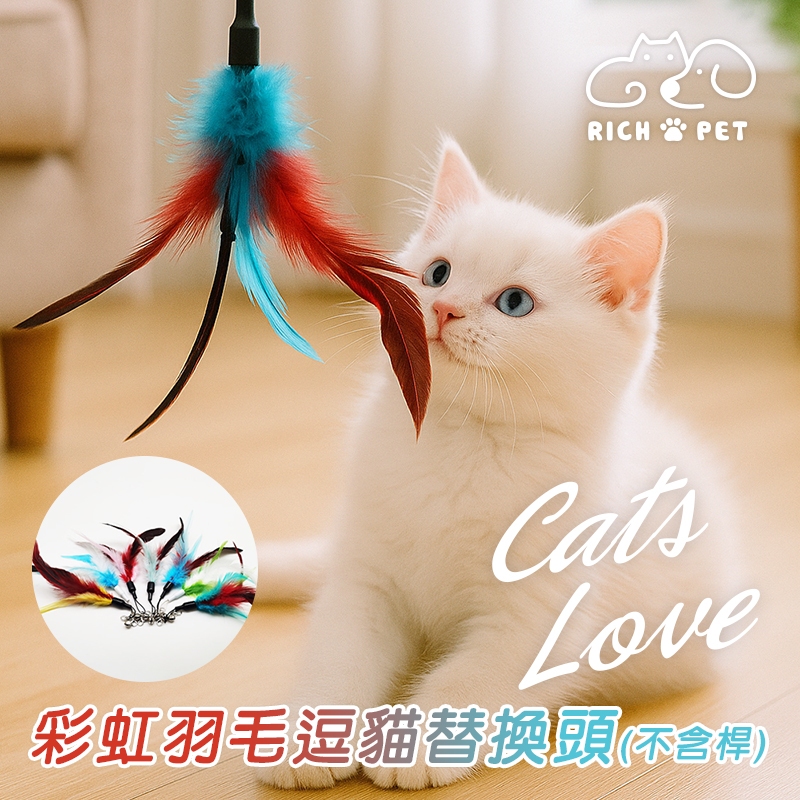 【RICH PET】彩虹羽毛逗貓替換頭 隨機出貨 逗貓棒 貓咪玩具 貓玩具 可替換頭 補充頭 逗貓 T001