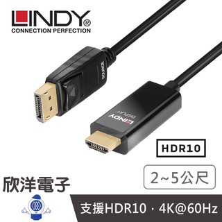 LINDY 林帝 DP to HDMI 主動式DISPLAYPORT TO HDMI 2.0 HDR 轉接線 40926