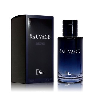 DIOR 迪奧 Sauvage 曠野之心淡香水 100ML【岡山真愛香水】