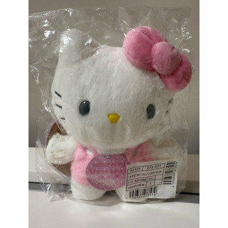 全新日本正版三麗鷗Sanrio凱蒂貓Hello Kitty拍照玩偶/磁吸可站立拍照娃娃M
