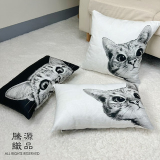 【騰源織品｜24hr出貨】貓咪系列抱枕套 抱枕 | 共2色 | 45x45cm | 60x60cm | 30x50cm