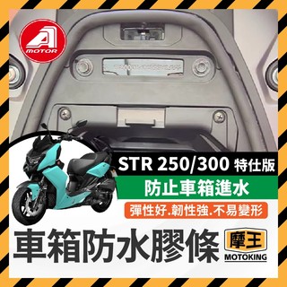 摩王👑 AEON STR 250 300 特仕版 車箱防水膠條 機車防水膠條 坐墊防水膠條 坐墊密封條 車廂防水膠條
