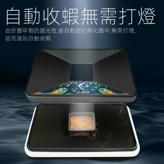 現貨豐年蝦卵孵化盒 鹵蟲孵化淺盤簡易孵化器 自動易收集孔雀幼魚苗開口孵化盒 豐年蝦孵化器 豐年蝦繁殖盒 漂浮式魚缸隔離盒