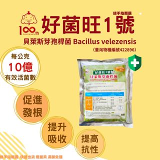 【綠手指嚴選】【24H出貨】【免運多包優惠】好菌旺1號 貝萊斯芽孢桿菌1kg 溶磷菌肥料溶鉀開根 萬丹菌 微生物土壤抗性