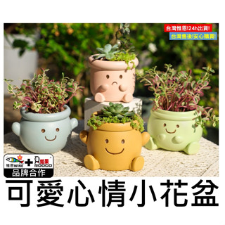 WINE臺灣惟恩 微景觀 可愛心情小花盆 盆栽 花盆 多肉 盆栽 造景 花瓶 園藝