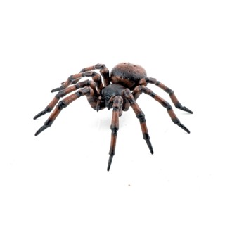 恐龍動物模型 papo 蜘蛛