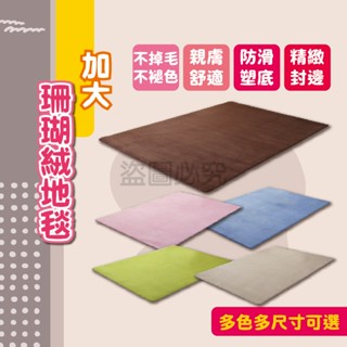 🌸柔軟親膚🌸珊瑚絨地毯 客廳地毯 飄窗墊 大地毯 沙發茶几地墊 多色地毯 大地墊 床邊地毯 臥室地毯 網紅客廳地毯