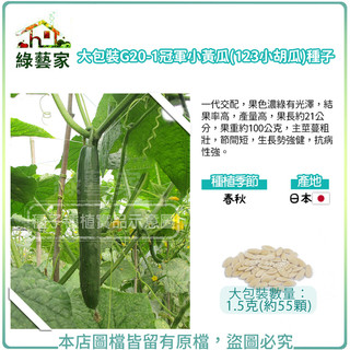 【綠藝家】大包裝G20-1.冠軍小黃瓜(123小胡瓜)種子F1果色濃綠有光澤 結果率高 產量高 果長約21公分
