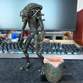 優質版NECA異形蛋 正版NECA 7寸可動模型 異形大戰 異形大戰鐵血戰士異形蛋 異形大戰鐵血戰士 正版NECA