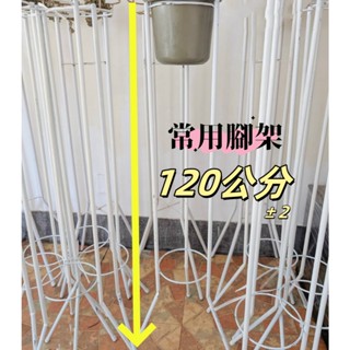 【花心籃】🌹花籃腳架🌹 現貨 高架花籃 腳架 花架 鮮花籃 鐵架 鮮花 盆栽 高腳架 園藝 一體腳架 插花