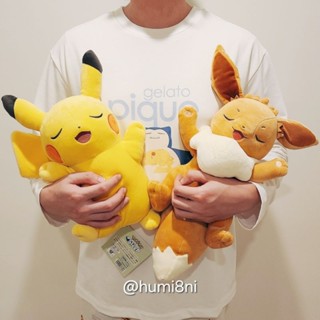 ➡️現貨⬅️ Pokémon Sleep 皮卡丘 伊布 菊草葉 耿鬼 呆呆獸 卡拉卡拉 幼基拉斯 日本寶可夢中心 睡覺