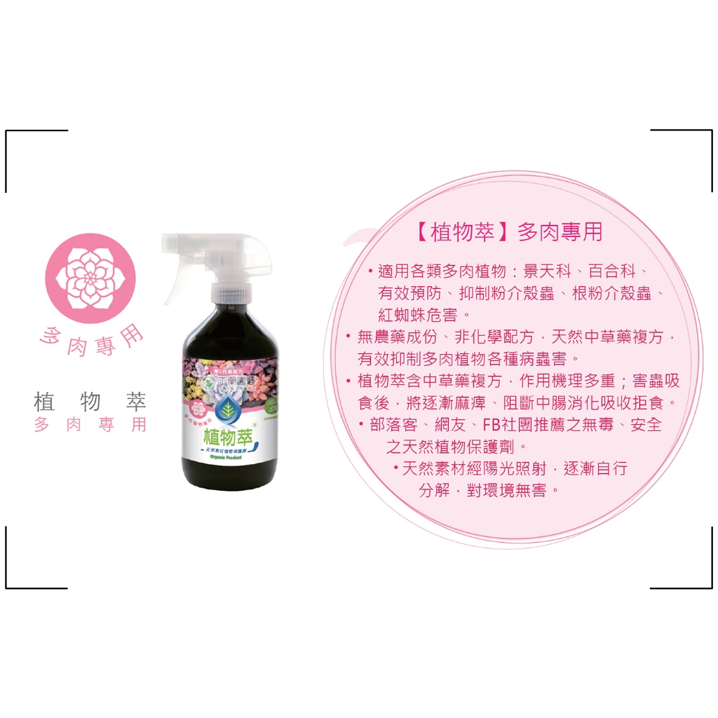 植物萃【多肉專用 500ml】| 天然中藥萃取 無化學成分 粉介殼 介殼蟲 蜘蛛 病蟲害防治 殺蟲劑 驅蟲