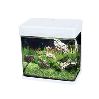 帥哥水族【MR.AQUA 水族先生】MS-220 上部過濾ㄇ型LED套缸 套缸 魚缸 水族魚缸 上部過濾 ㄇ型缸