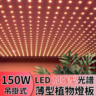 【君沛植物燈】LED植物燈 植物燈板 150瓦 量子板 加強型 全光譜 led燈板 多肉燈捕光燈
