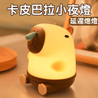 臺灣現貨 卡皮巴拉小夜燈 USB 鼻涕水豚情感燈 水豚小夜燈 拍拍燈 氛圍燈 伴睡燈 交換禮物 床頭燈 寶寶夜燈