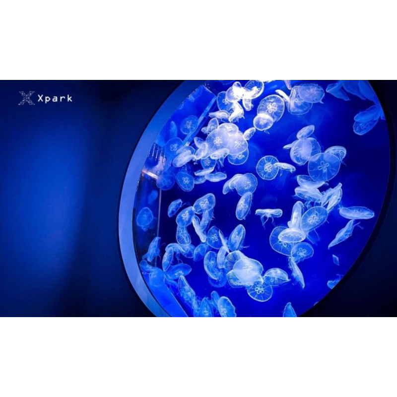 Xpark 門票 桃園Xpark 水族館 免運